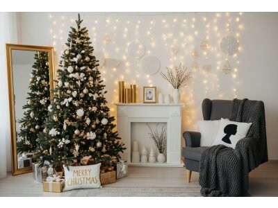 Decorazione natalizia