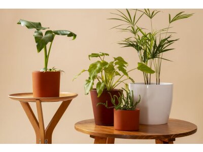 Soportes y mesas para plantas