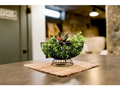 Decoratieve Schalen
