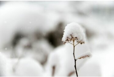Foto\'s in de sneeuw - Foto\'s in de sneeuw: uw gids | fotoalben-discount.de