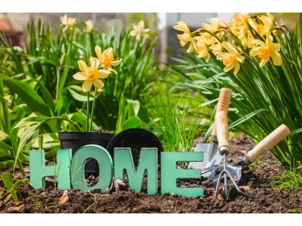 Een frisse start voor je tuin in de lente: geef je buitenruimte een stijlvolle en eenvoudige make-over - Ideeën en decoratie voor een frisse start in de lente | bavovna.nl