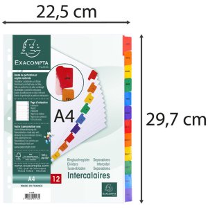 Exacompta Register din a4 met 12 tabbladen
