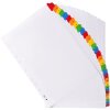 Index 31-delig a4+ karton 20-delig 160g Wit