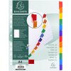 2312e Exacompta Register Manilla karton in din a4 formaat