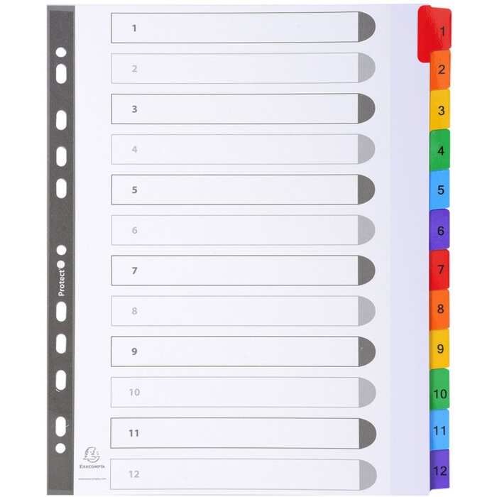 Exacompta Register din a4 met 12 tabbladen