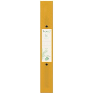 Ringband gemaakt van gerecycled pp 700µ met 2 ringen 30mm, rug 40mm, Forever, voor formaat din a4 geassorteerde kleuren