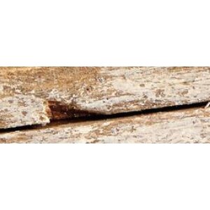 Walther Houten Fotolijst Dupla 15x20 cm wit-natuur
