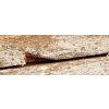 Walther Houten Fotolijst Dupla 15x20 cm wit-natuur