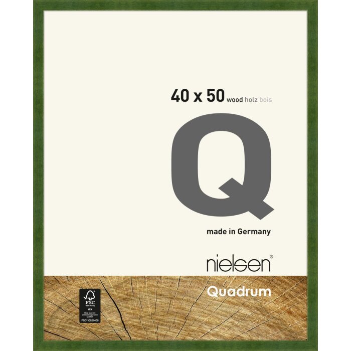 Nielsen Houten clip-on lijst Quadrum 40x50 cm groen