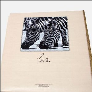 Stockalbum wild life 100 fotos 11x16 cm