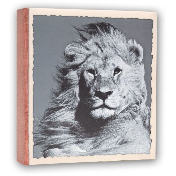 Stockalbum wild life 100 fotos 13x19 cm
