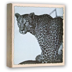 Stockalbum wild life 100 fotos 13x19 cm