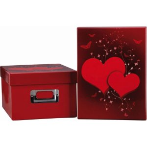 Fotodoos Twin Pack 2 stuks 1400 Fotos 10x15 cm
