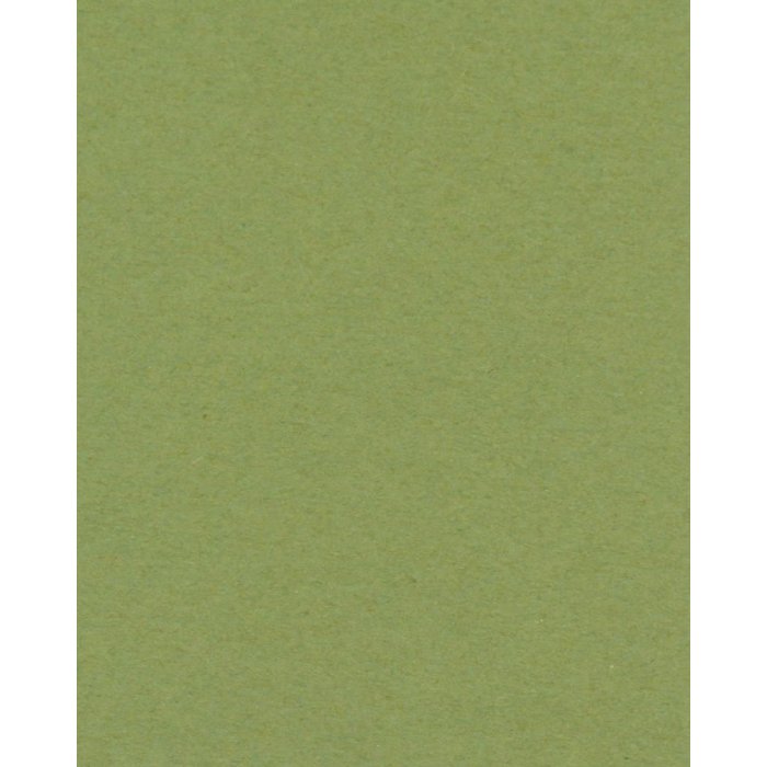 Passepartout 15x20 cm - 10x15 cm Verde Salvia