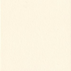 Passepartout 20x20 cm - 10x10 cm Conchiglia