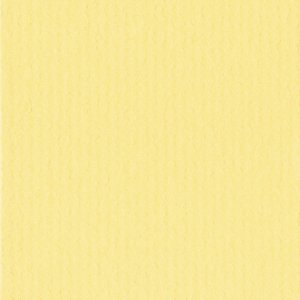 Passepartout 40x50 cm - 28x35 cm Giallo
