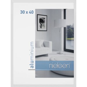 Nielsen C2 Aluminium fotolijst 10x15 cm tot 70x100 cm