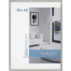 Nielsen C2 Aluminium fotolijst 10x15 cm tot 70x100 cm