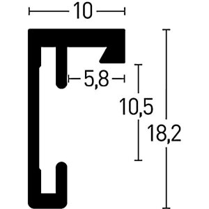Nielsen C2 Aluminium fotolijst 10x15 cm tot 70x100 cm