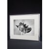 Nielsen Accent Aluminium Lijst Fotolijst 10x15 cm tot 70x100 cm