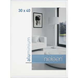 Klassiek aluminium lijst van Nielsen
