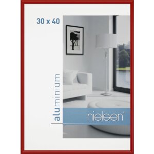 Klassiek aluminium lijst van Nielsen