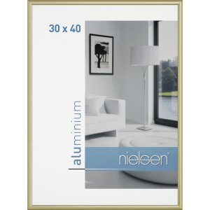 Klassiek aluminium lijst van Nielsen