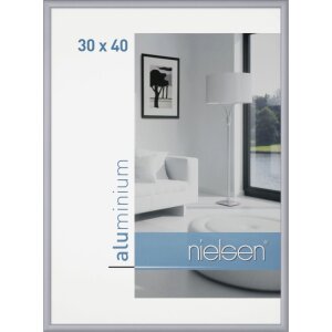 Klassiek aluminium lijst van Nielsen