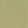 Afgeschuinde passepartout lime groen 40 maten Verde Alga