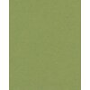 Afgeschuind passepartout groen 40 maten Verde Salvia