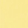 Passepartout Giallo 40 maten geel