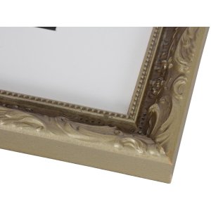 Chic Barok Fotolijst 40x50 cm champagne