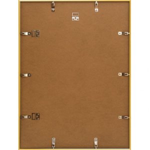 Kunststof lijst Napoli 60x80 cm goud