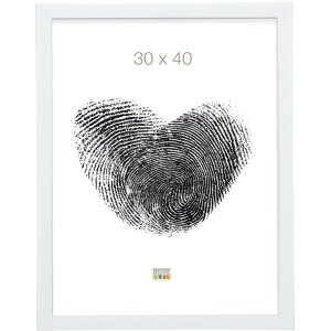 Deknudt Fotolijst s41v kunststof lijst