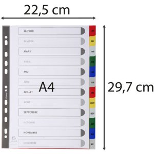 Register din a4 met 12 tabbladen