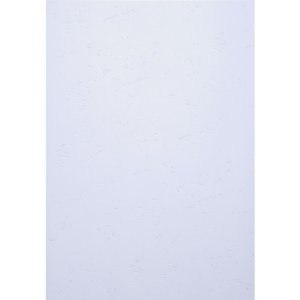 set van 100 - Evercover a4 270g Wit