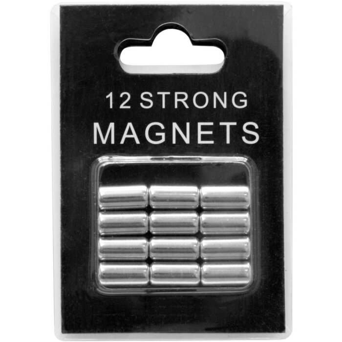12 zilverkleurige magneten in blisterverpakking