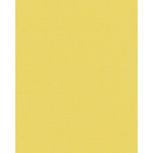 HNFD 20 Fotodoosverdelers Giallo voor fotodozen 10x15 cm