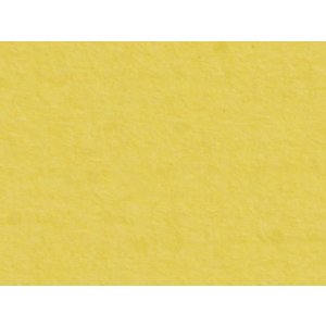 HNFD 20 Fotodoosverdelers Giallo voor fotodozen 10x15 cm