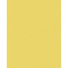 HNFD 20 Fotodoosverdelers Giallo voor fotodozen 10x15 cm