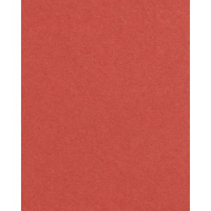 HNFD 20 Fotodoosverdelers Rosso Veneziano voor fotodozen 10x15 cm