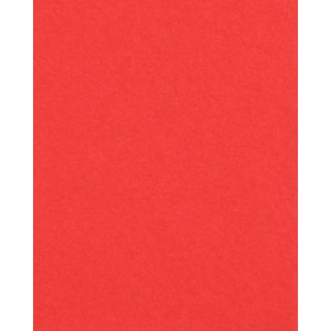 HNFD 20 Fotodoosverdelers Rosso Ciliegia voor fotodozen 10x15 cm