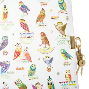 Goldbuch uilen dagboek