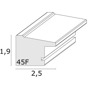 Fotolijst zilver kunststof 20,0 x20,0 cm s45fd