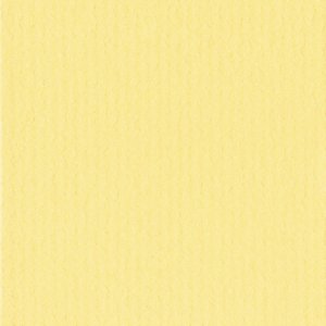 HNFD 12 Foto Vakverdelers 13x18 cm - Giallo