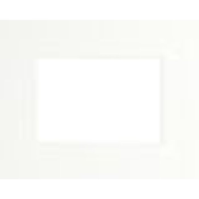 Standaard passepartout Ceanothe 30x40 cm met 20x30 cm wit gebroken