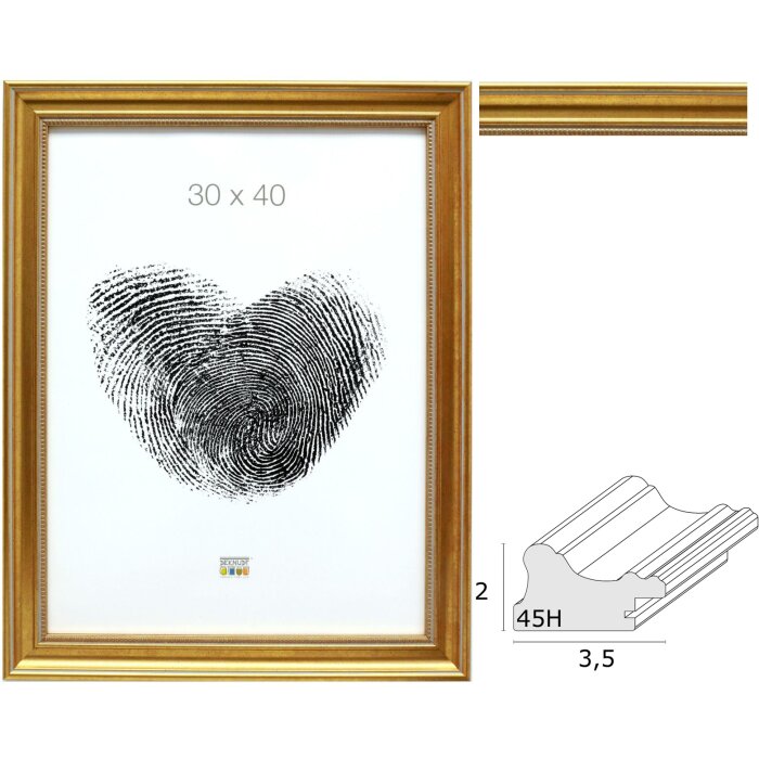 Fotolijst goud plastic s45ha1
