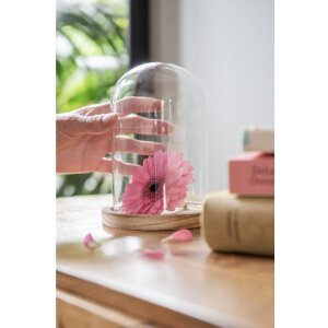 Glazen stolp Clayre en Eef 6gl2168 - ø 12x17 cm...