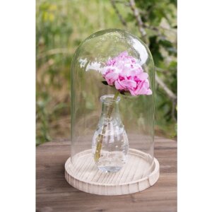Glazen stolp Clayre en Eef 6gl2171 - ø 23x29 cm...