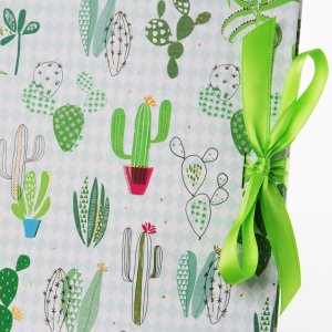 Fotoboek met verborgen spiraal Cactus collectie